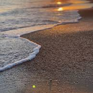 trip to the sea