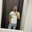 Aleks0012-1