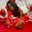 Zella-Brown