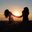 HappyLoversxo