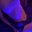 zus-pic