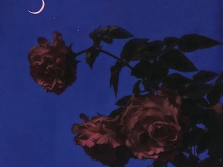 I Am A Brunette And I'm A Sex Webcam Hot Gal