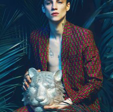 harveyDi