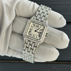 Cartier watch