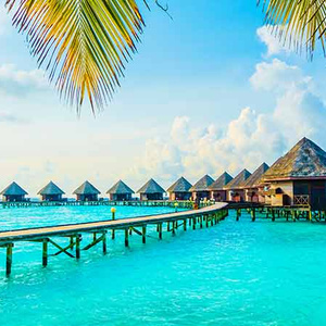 dream vacation