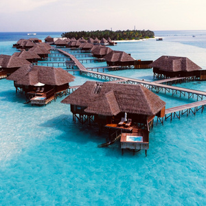 Vacation