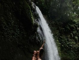 Hotpepper-Sweetpepper webcam model