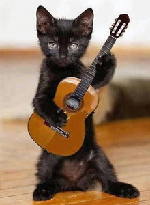 PrinceLucifer My Photos photo 12521786