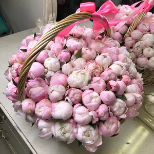Give flowers Peonies