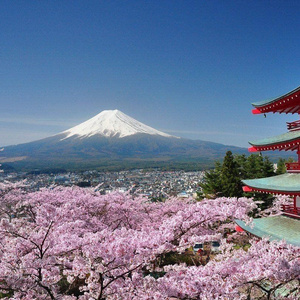 House in Japan