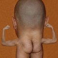 lilipus