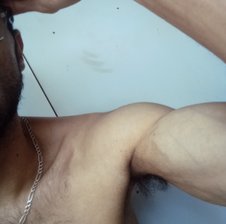 Torso893