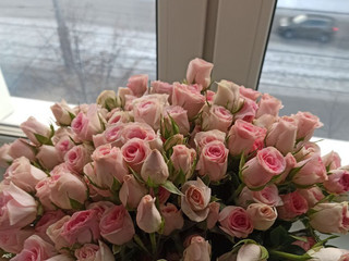 Roses(Lika)