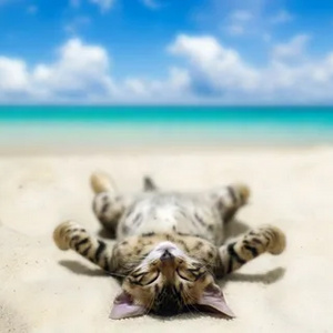 On vacation