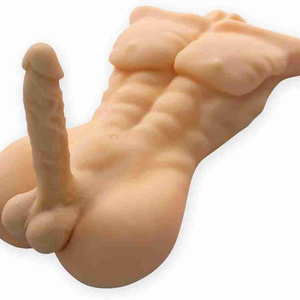 Torso