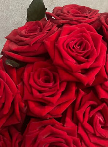 MAJiba351 My Photos photo 13568890