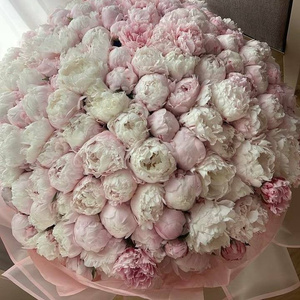 Wish #1
