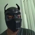 MetalheahPup