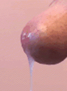 JorheCardoso My Photos photo 12979672