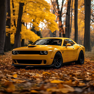 PRETTY  CAR