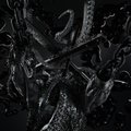Serj-9