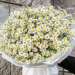 Bouquet of flowers