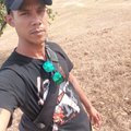 PINGUX