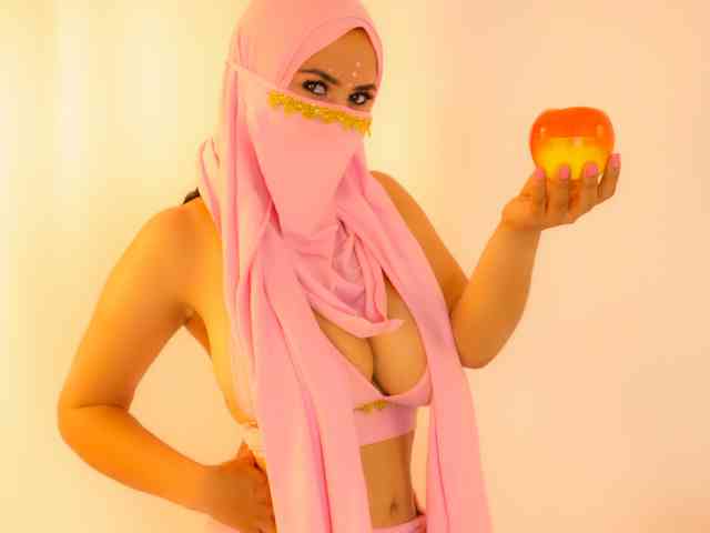 amina-hafssa