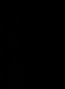 kisulik1999 My Photos photo 14123214