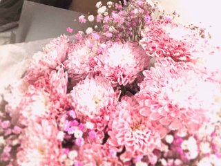 Live трансляция -dkny- - hotxchat.com