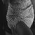 I-ValeRiAA