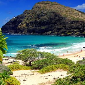 TRAVEL TO HAWAII