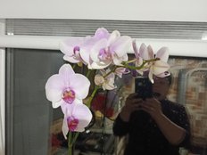 ElzaJewel Gallery Image 1