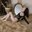 -Your-Michelle-
