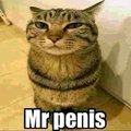 MR_peniss