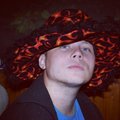 Stivisor