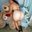 Eliany