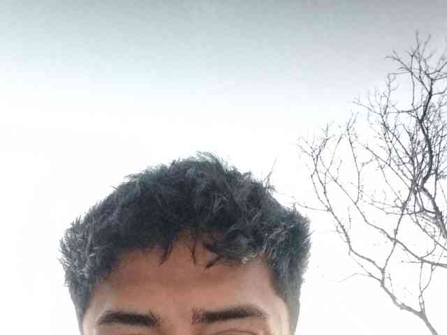 Yupycute