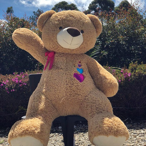 Teddy Bear