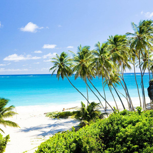 Dream vacation in the Caribbean 10000 k