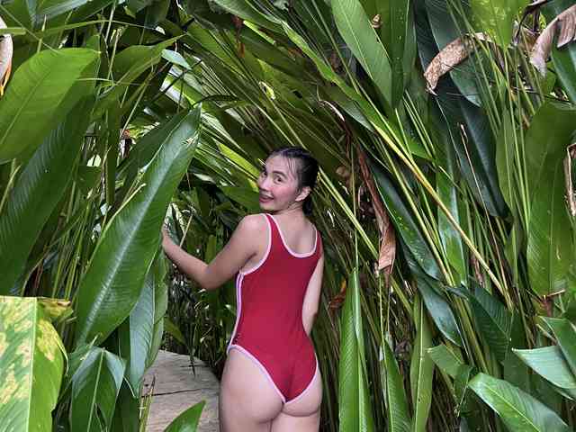 urbbmella
