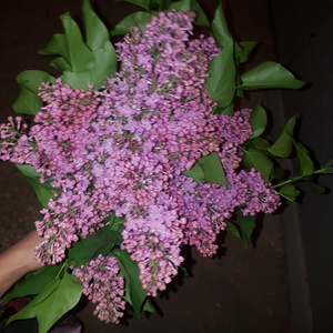 большой букет