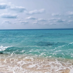Sea
