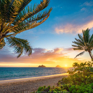 Tropical island visit