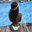 DARKNLOVELYxxx99a