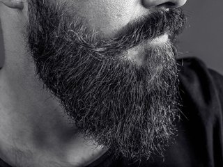 MichaelBeardm1