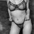 Littlekittty