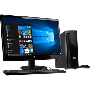 Computer & Web camera