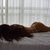 Cutelovely-
