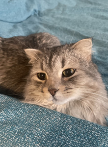 vujva6-fAcbin-getxaz My Photos photo 13067269